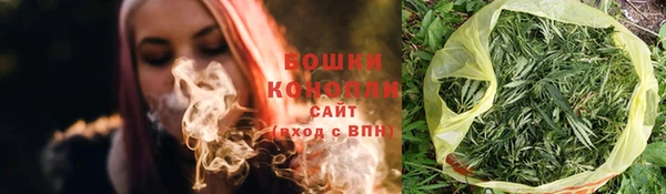 дурь Карпинск